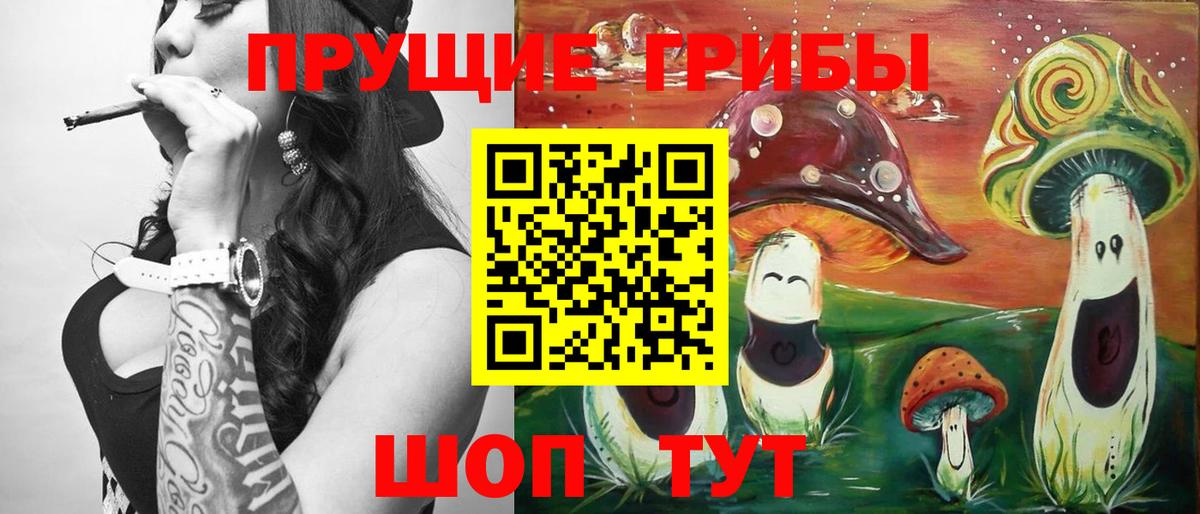 Павловский Посад  Галлюциногенные грибы Cubensis  Вход с VPN 