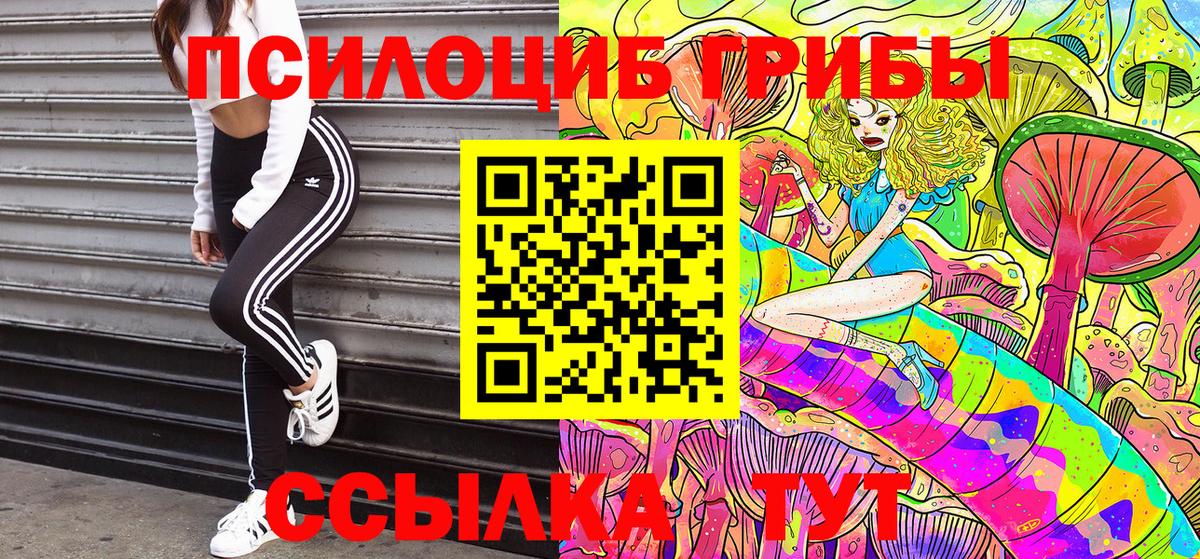 Псилоцибиновые грибы Cubensis Павловский Посад